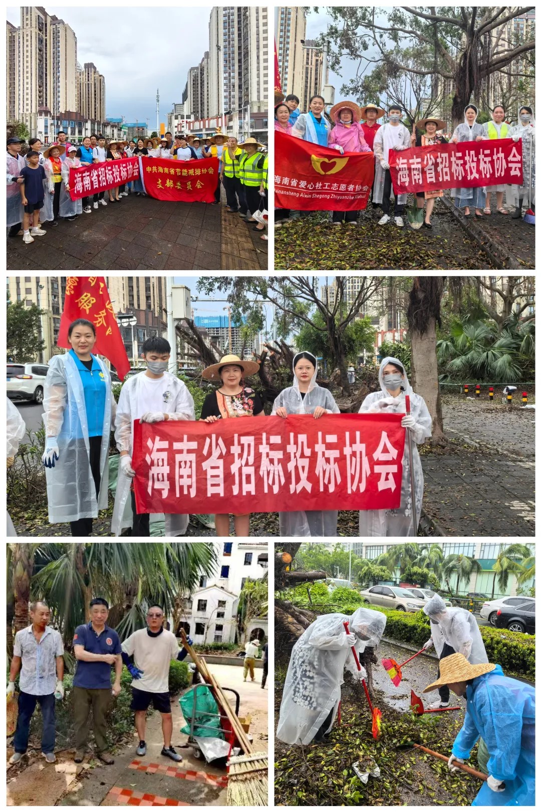“摩羯”無(wú)情，人間有愛(ài)——海南省招標(biāo)投標(biāo)協(xié)會(huì)與會(huì)員單位積極開(kāi)展災(zāi)后重建工作